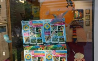 Abbotswood flyers