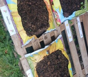 Planting sowing seeds