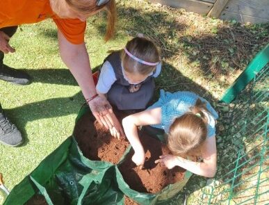 Planting sowing seeds